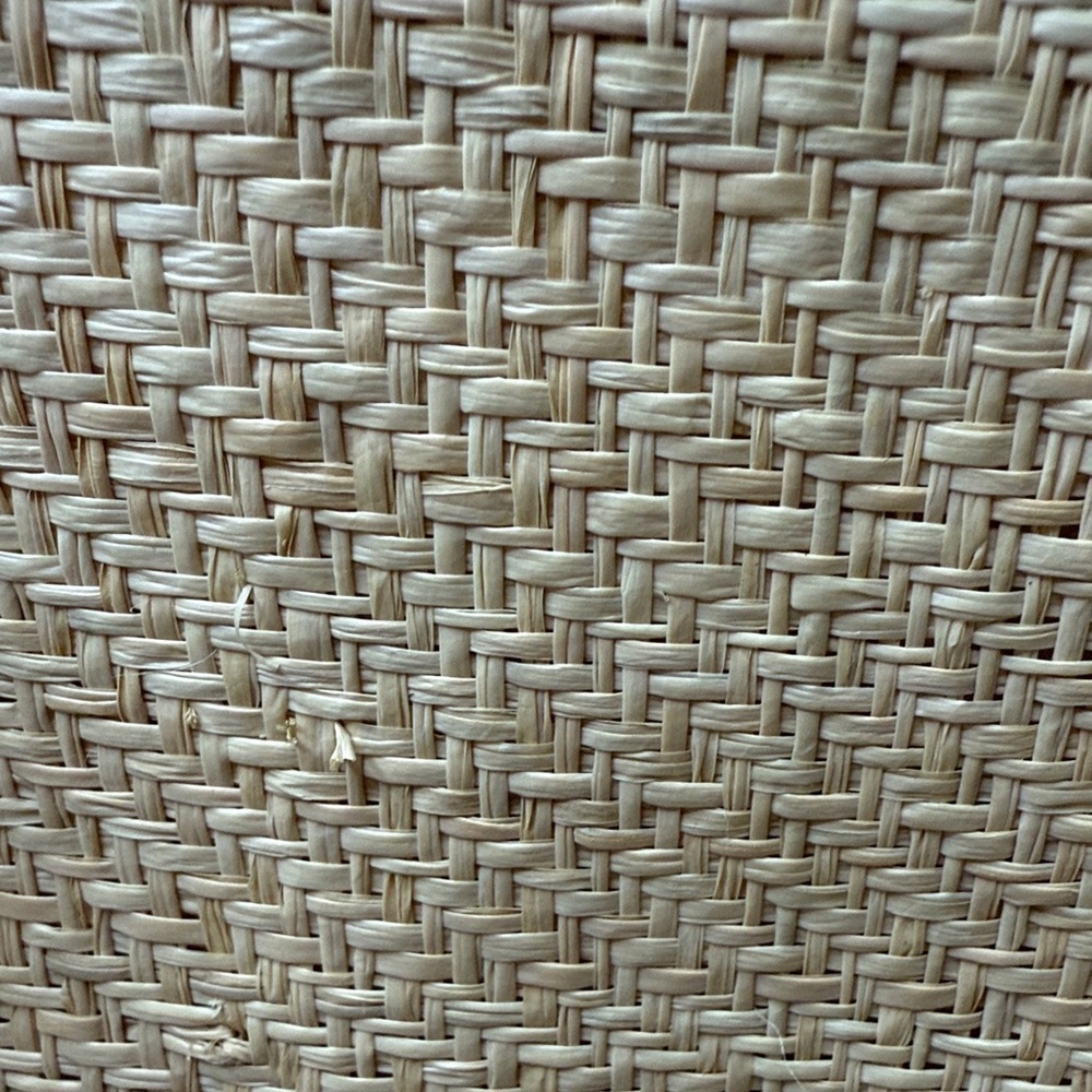 Kate Spade Reiley Straw Dome Satchel Tan and White - Picture 4 of 14